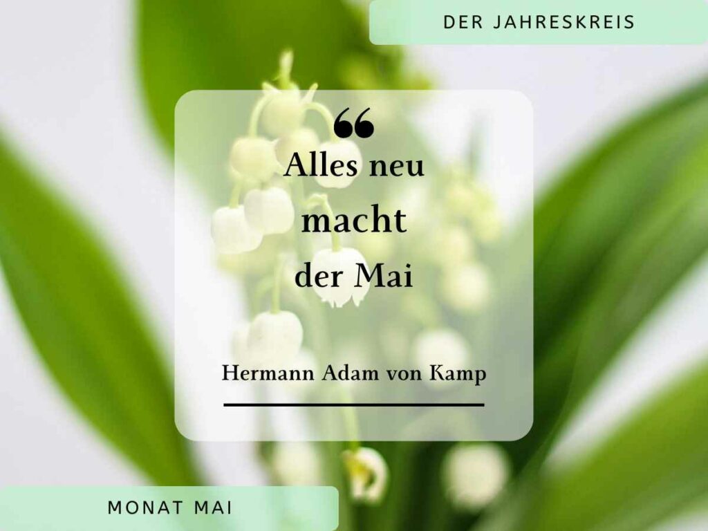 Auf dem Bild sind Maiglöckchen und ein bekanntes Zitat über den Mai