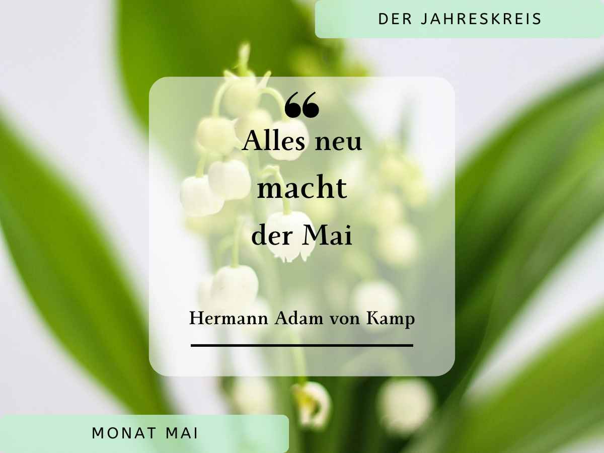 Mehr über den Artikel erfahren Der Jahreskreis – Monat Mai