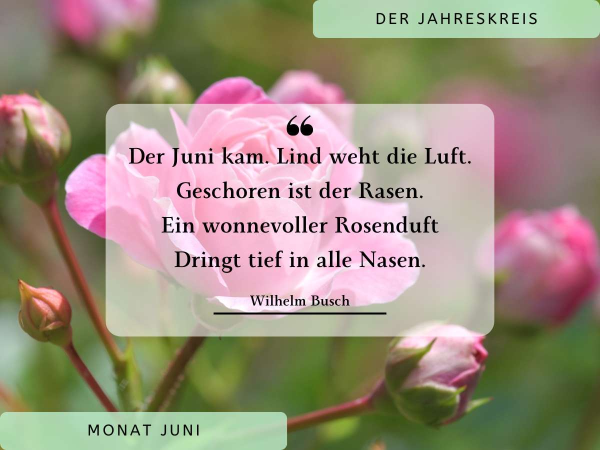 Mehr über den Artikel erfahren Der Jahreskreis – Monat Juni